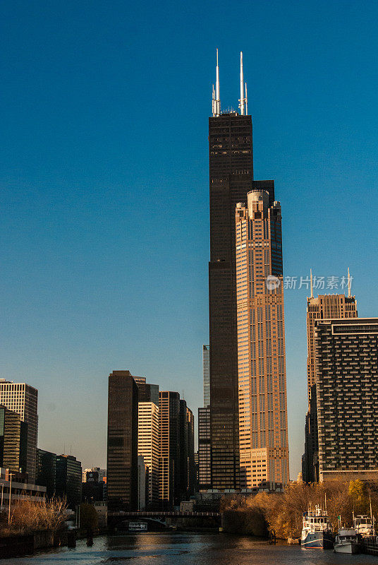 伊利诺伊州芝加哥的威利斯大厦(Willis Tower